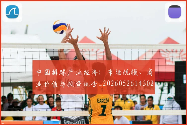 中国排球产业经济:市场规模、商业价值与投资机会_20260526143026